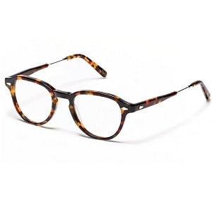 Moscot Kash Tort and Gold